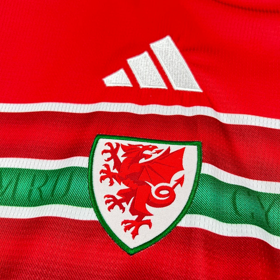 2026 Wales Home Kit