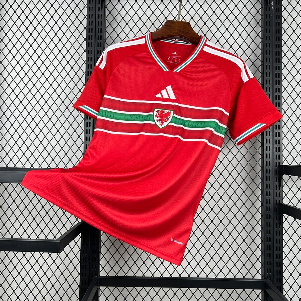 2026 Wales Home Kit