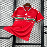 2026 Wales Home Kit