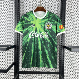 Kawasaki Frontale 1994 Home