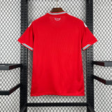 2026 Wales Home Kit
